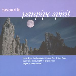 AA级国产一级毛片
